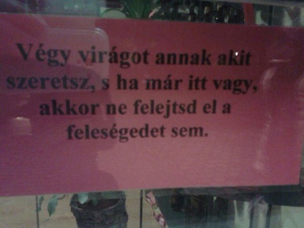 11040684_805884146125441_1545211681_n